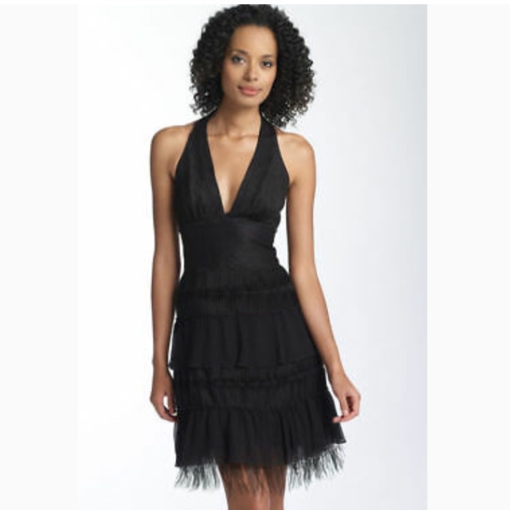 Lace & Feather Dress - BCBGMaxAzria